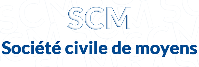 Professionnels de santé, SCM  et déclaration 2036