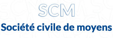 Professionnels de santé, SCM  et déclaration 2036
